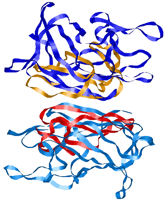 protein-protein interface