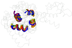 The structural alignment between four EF-hand proteins as obtained by MASS