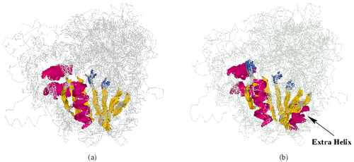 Structural Alignments between PLP proteins as obtained by MASS