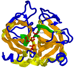 serine proteinase structurally aligned with MASS