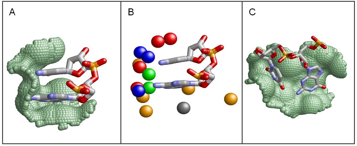 Define Nucleotide